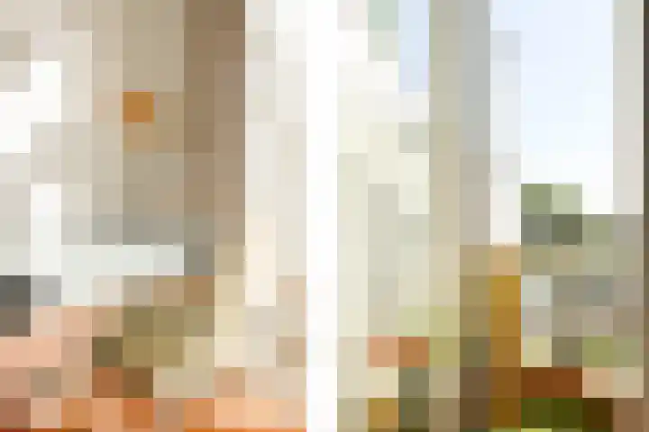 Baarsstraat 1 2 Amsterdam thumbnail 17
