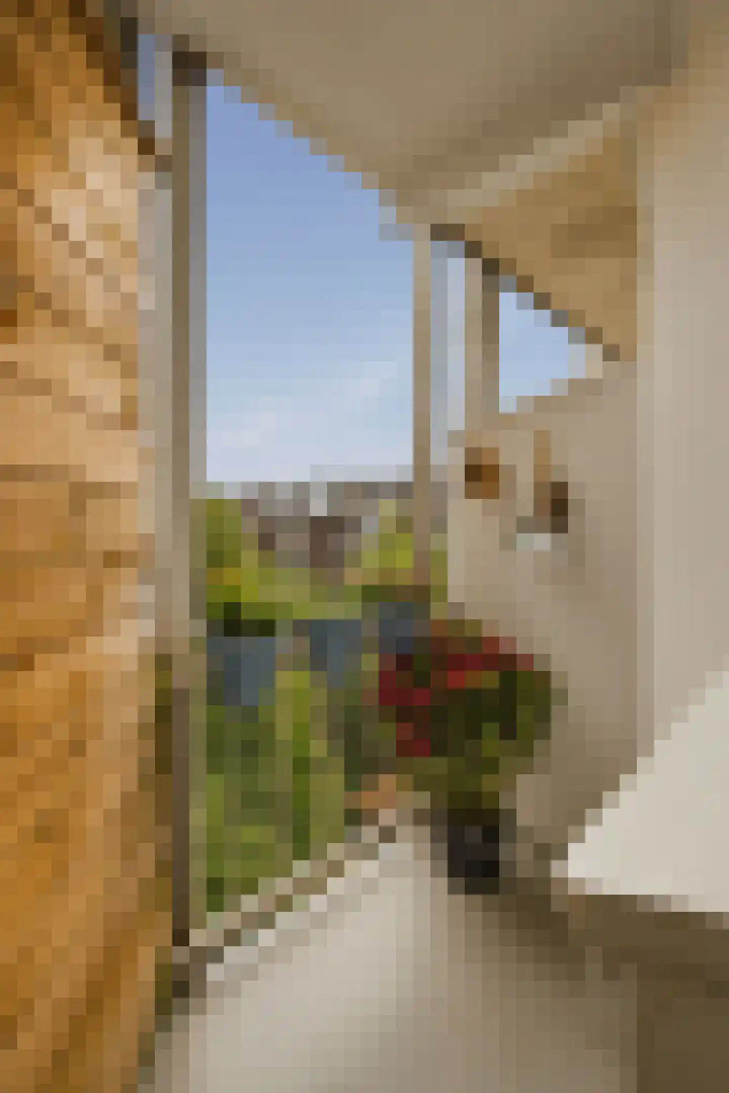 Baarsstraat 1 3 Amsterdam thumbnail 21