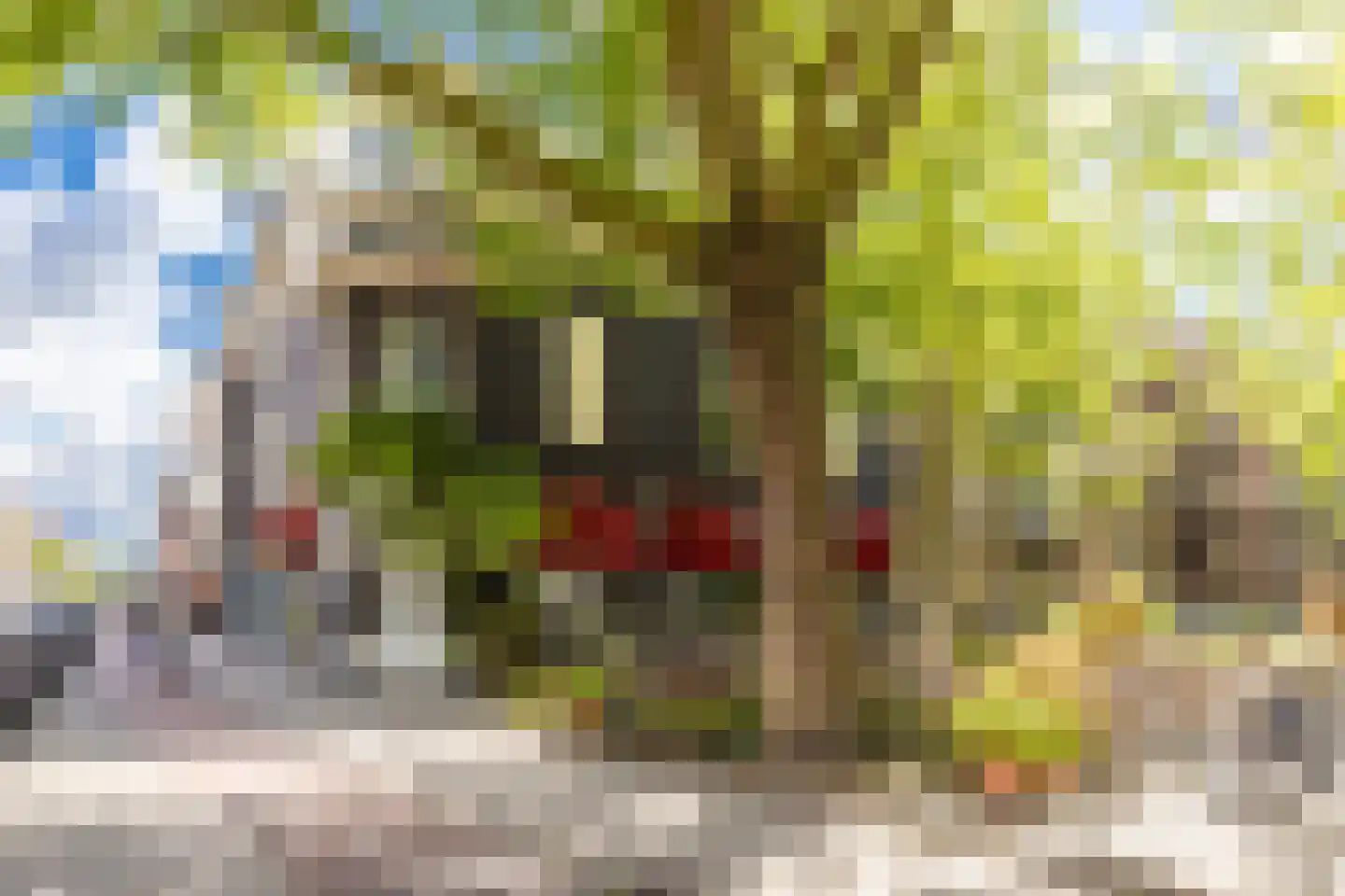 Baarsstraat 11 2 Amsterdam thumbnail 44