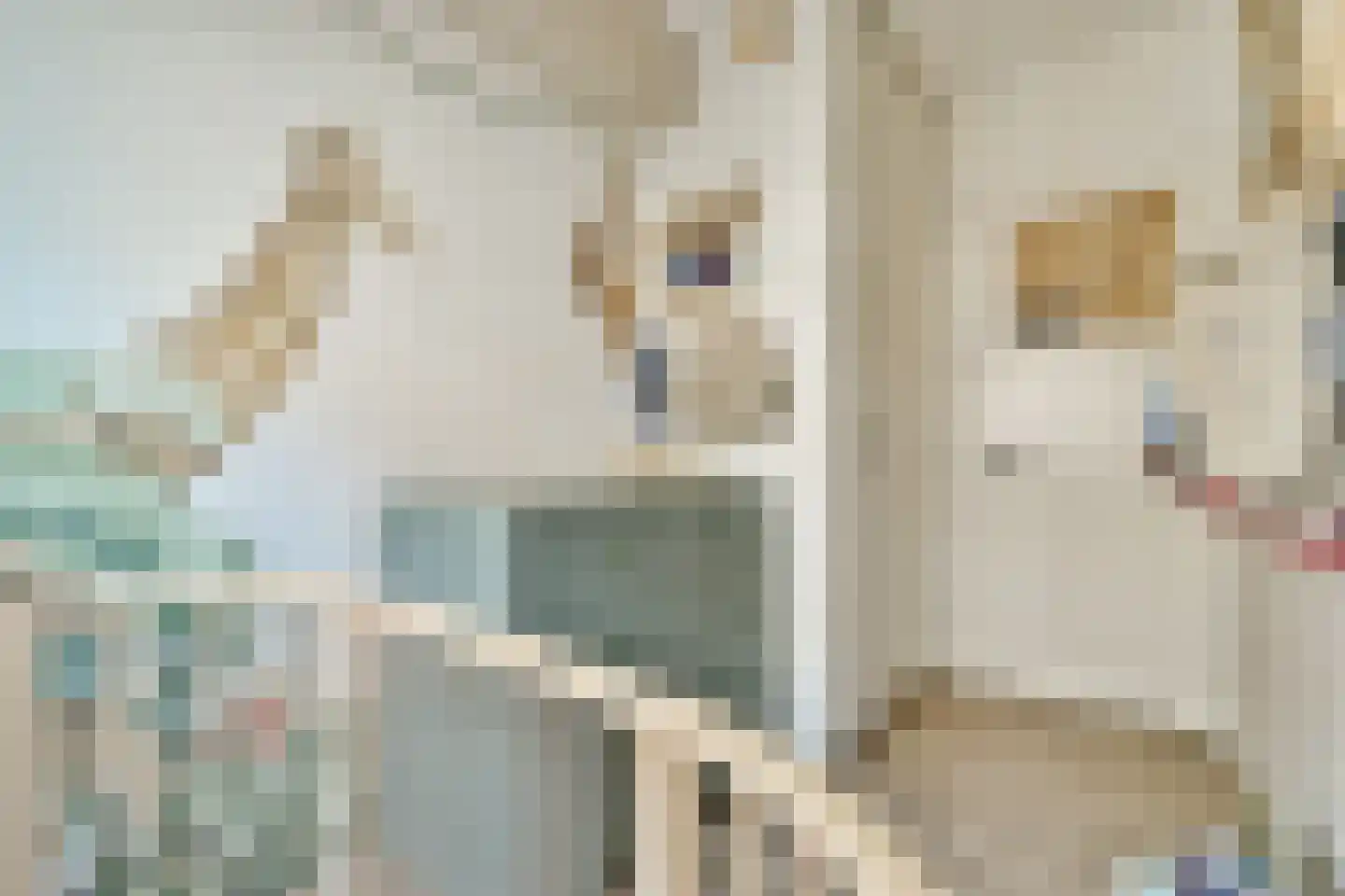 Baarsstraat 12 1 Amsterdam thumbnail 15