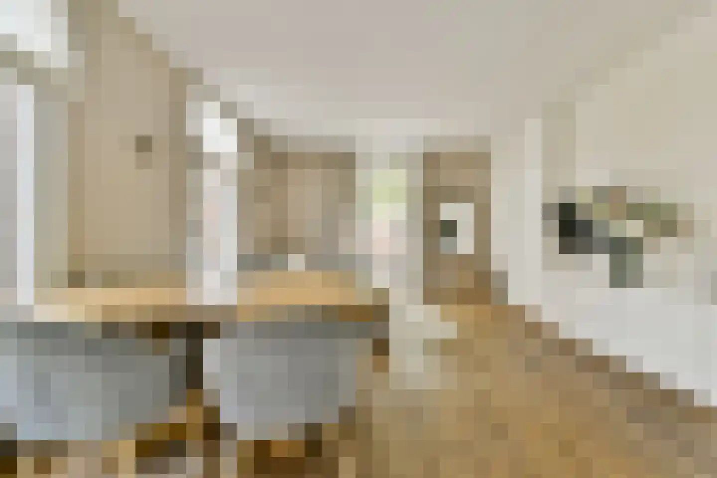 Baarsstraat 12 1 Amsterdam thumbnail 8