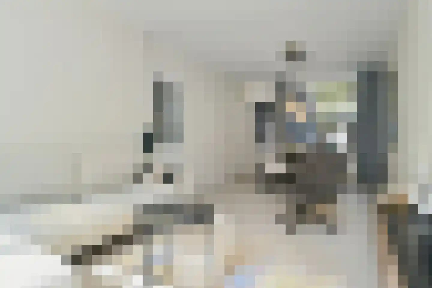 Baarsstraat 13 Eindhoven thumbnail 11