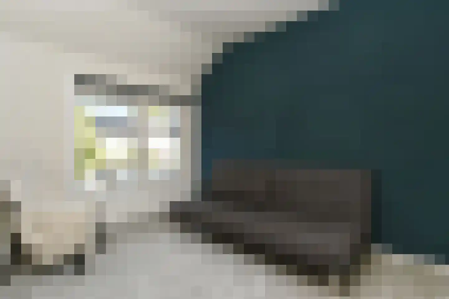 Baarsstraat 13 Eindhoven thumbnail 20
