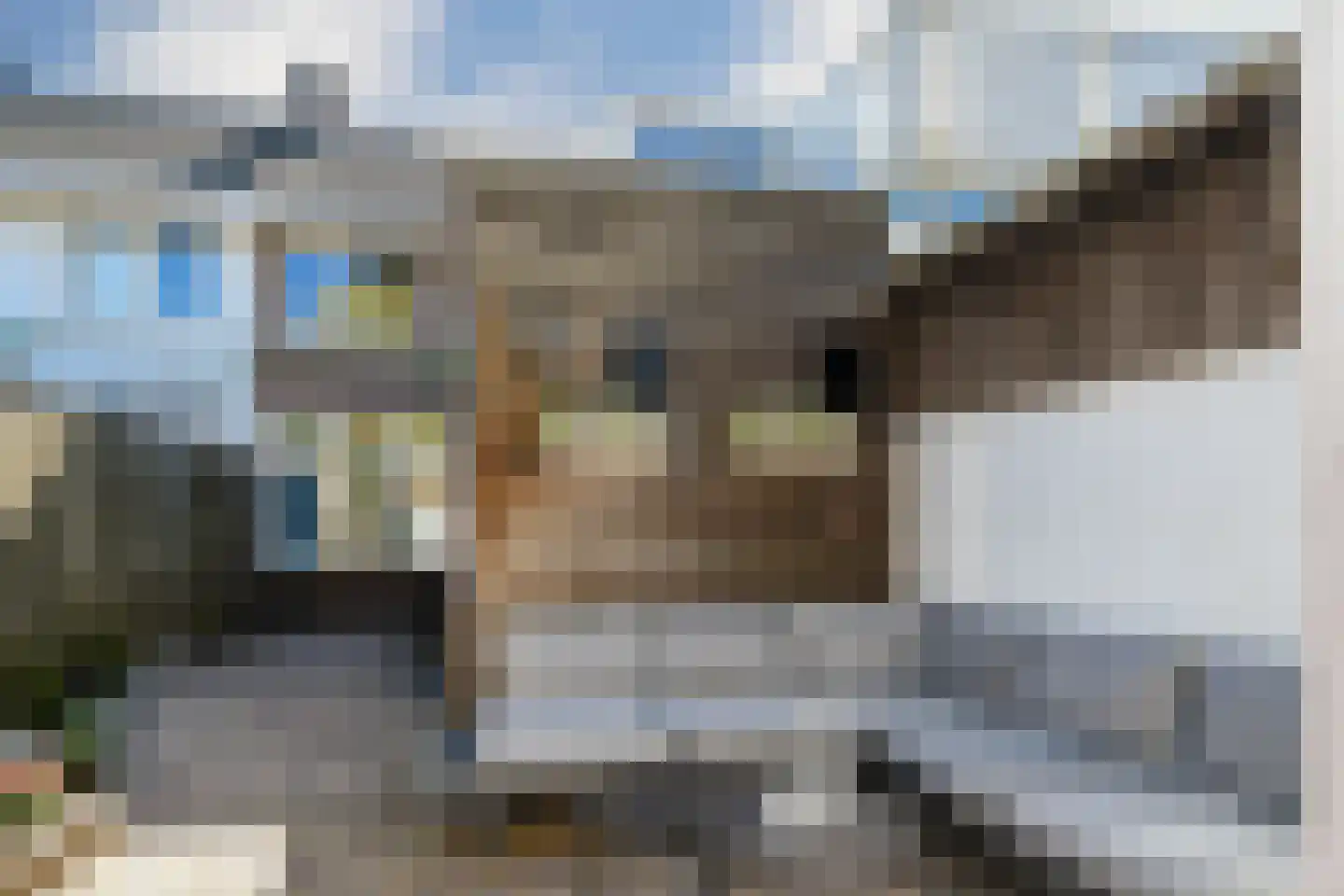 Baarsstraat 13 Eindhoven thumbnail 25
