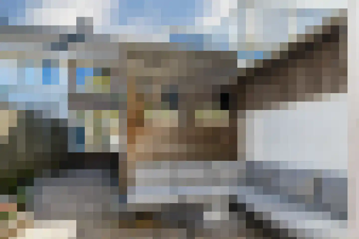 Baarsstraat 13 Eindhoven thumbnail 4