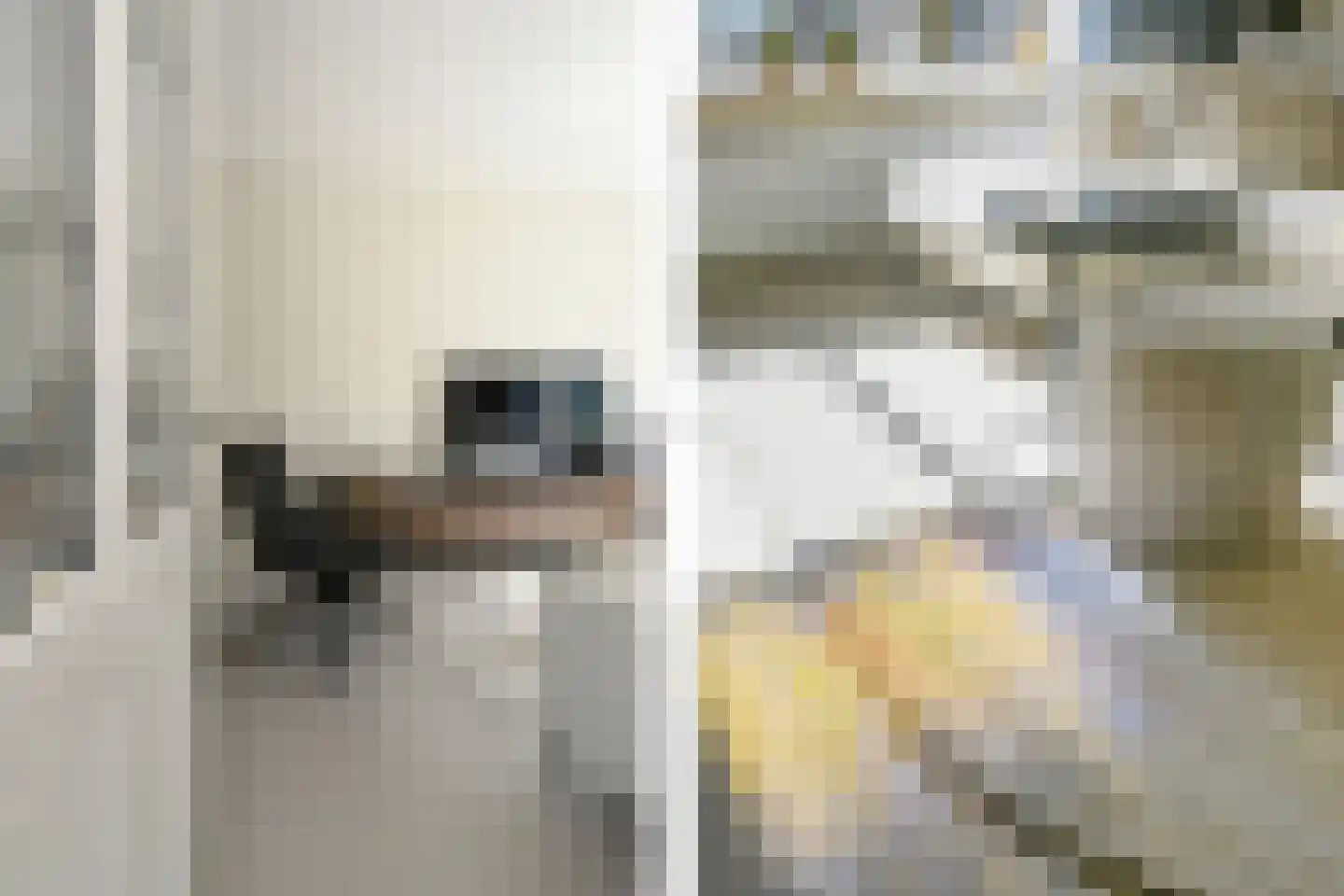 Baarsstraat 13 Eindhoven thumbnail 7
