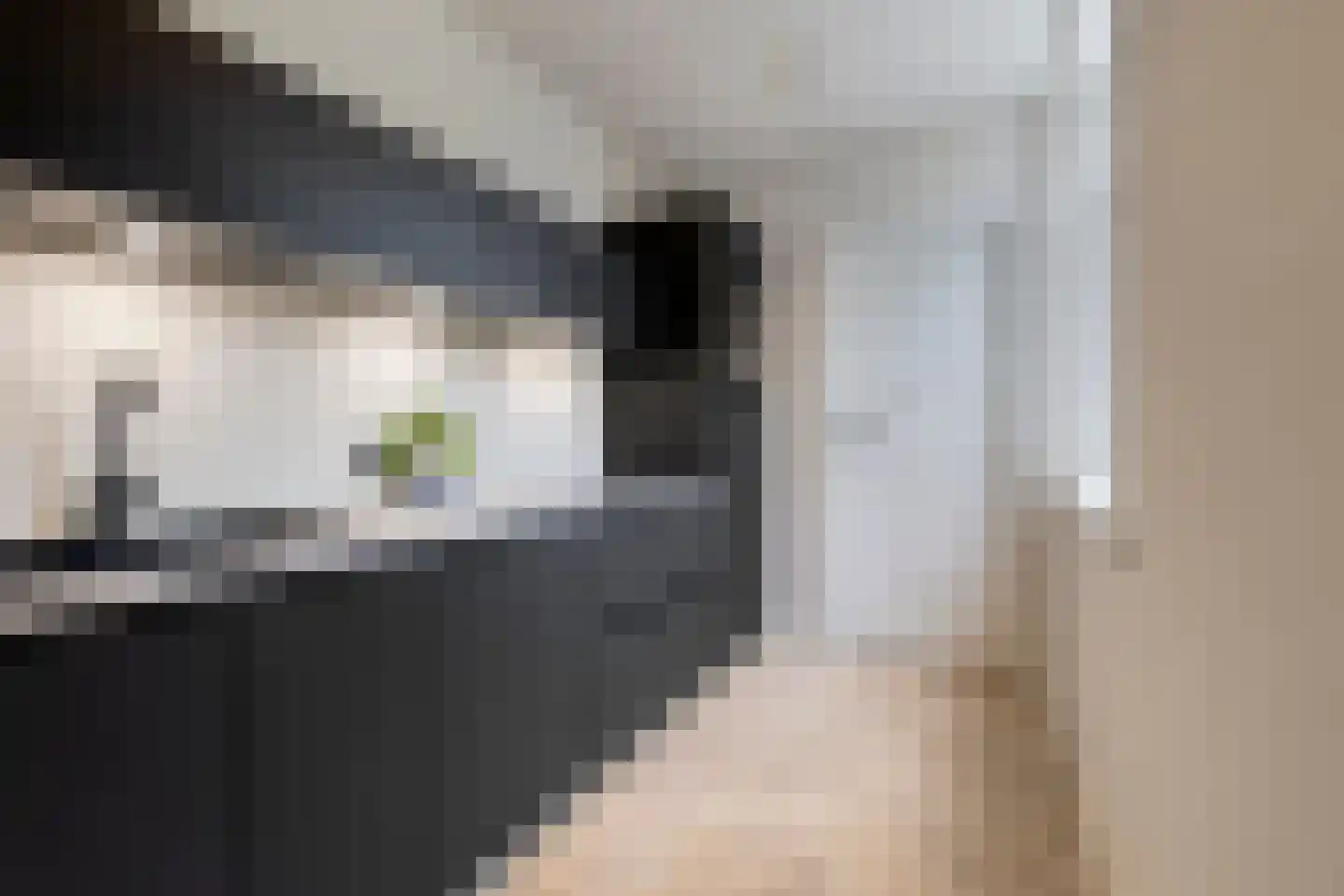 Baarsstraat 25 Eindhoven thumbnail 11