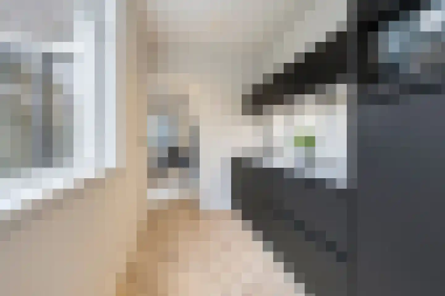 Baarsstraat 25 Eindhoven thumbnail 12