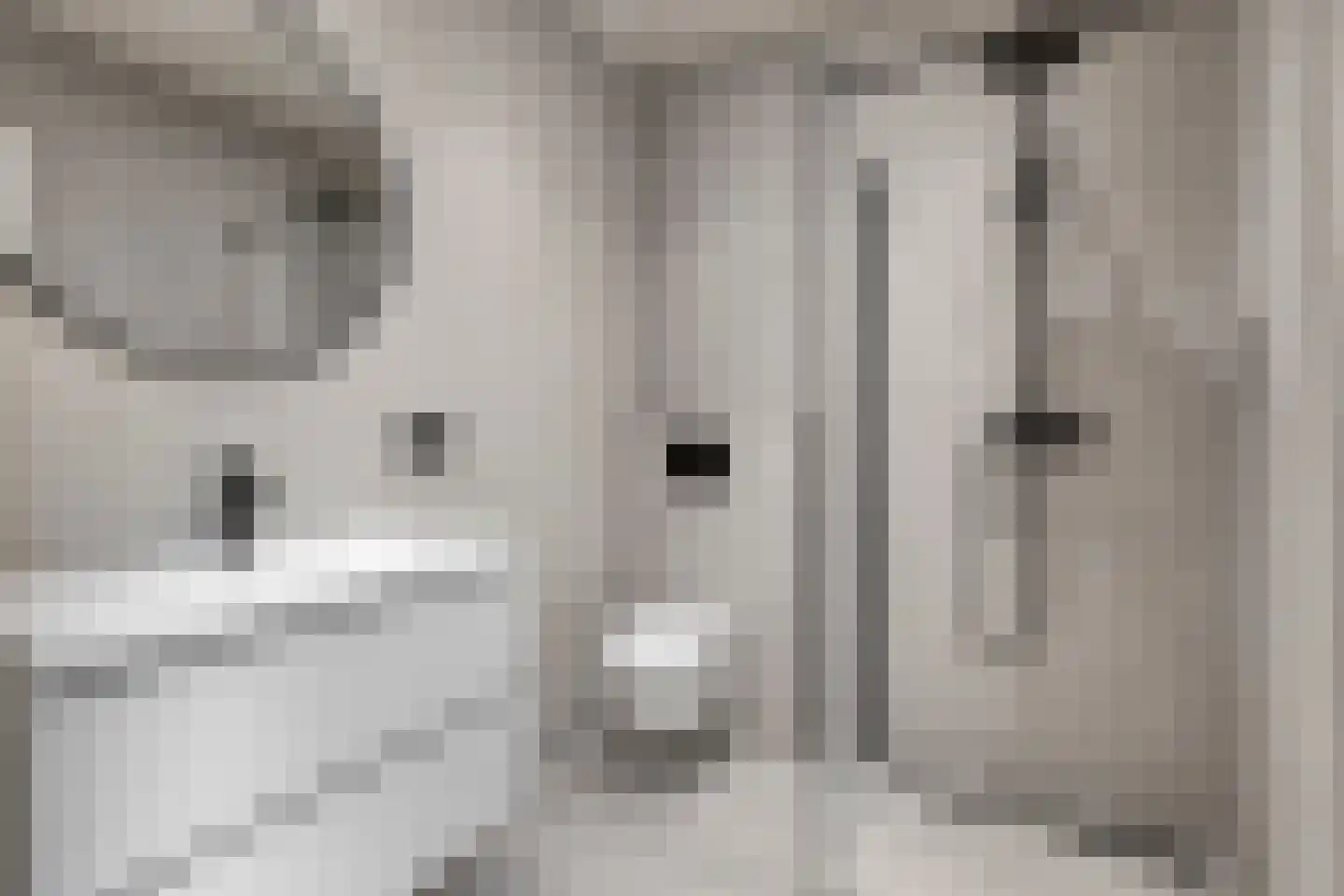 Baarsstraat 25 Eindhoven thumbnail 13