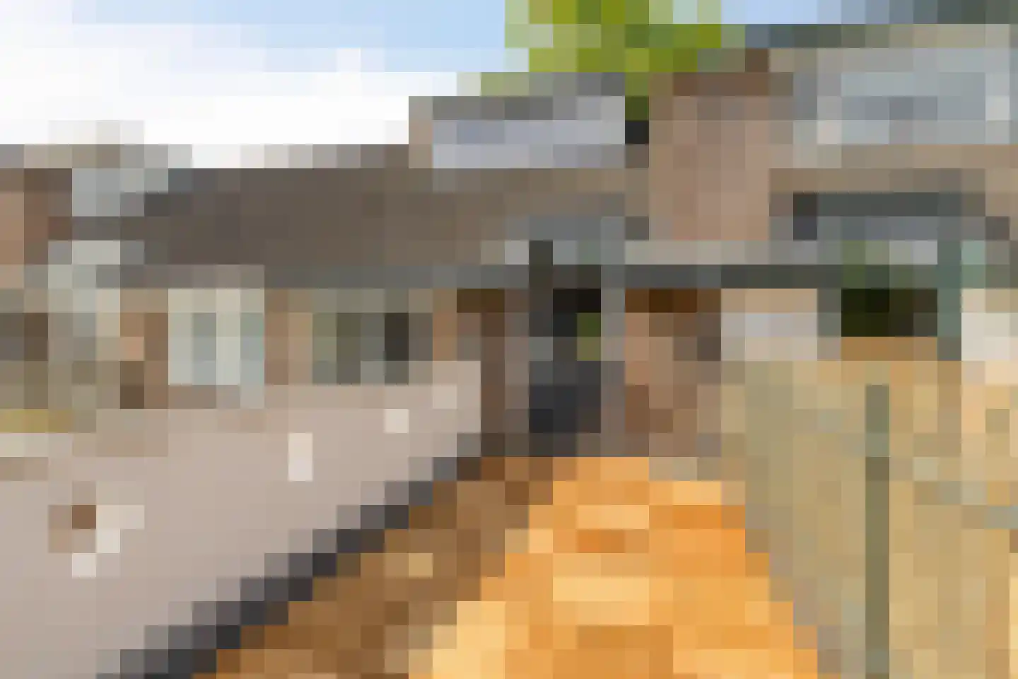 Baarsstraat 25 Eindhoven thumbnail 19