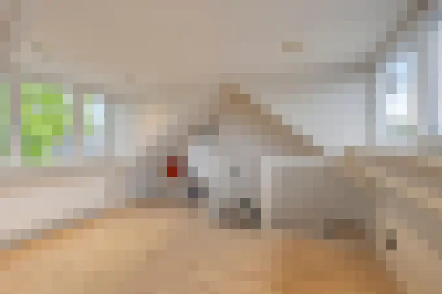 Baarsstraat 25 Eindhoven thumbnail 25
