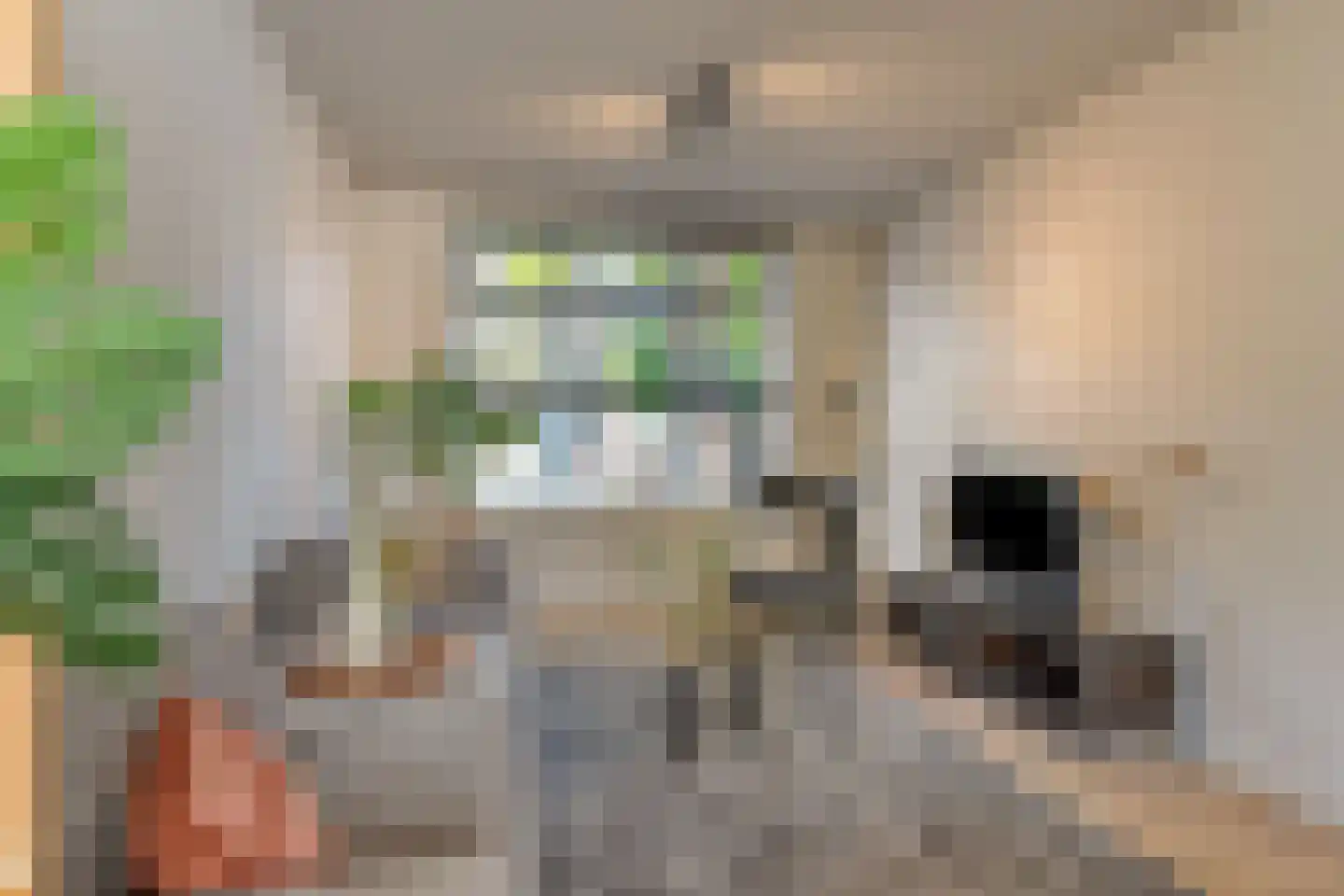 Baarsstraat 25 Eindhoven thumbnail 6