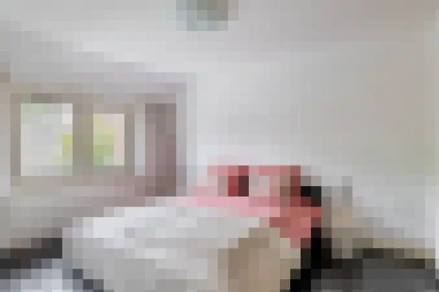 Baarsstraat 35 Eindhoven thumbnail 7