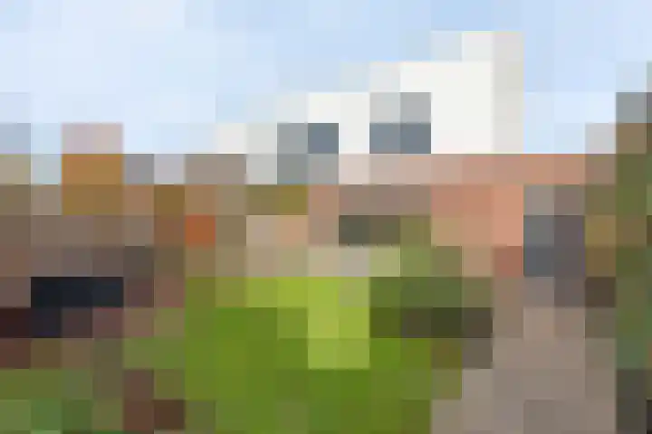 Baarsstraat 4 Hengelo thumbnail 15