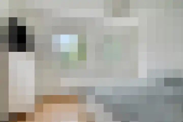 Baarsstraat 5 Helmond thumbnail 27