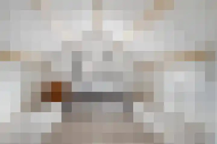 Baarsstraat 5 Helmond thumbnail 42