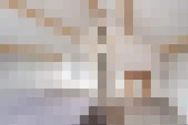 Baarsstraat 5 Helmond thumbnail 43