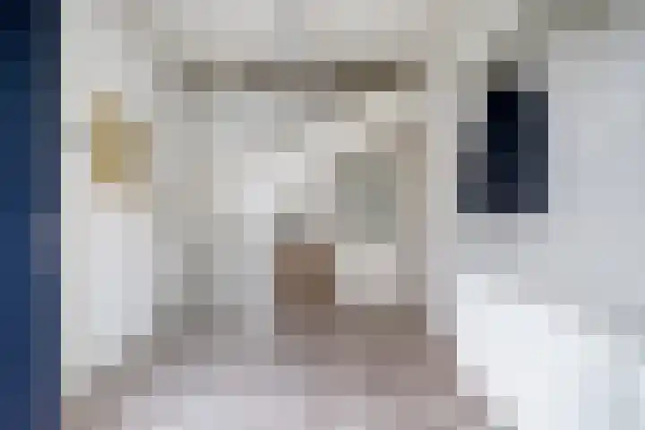 Baarsstraat 5 Helmond thumbnail 6