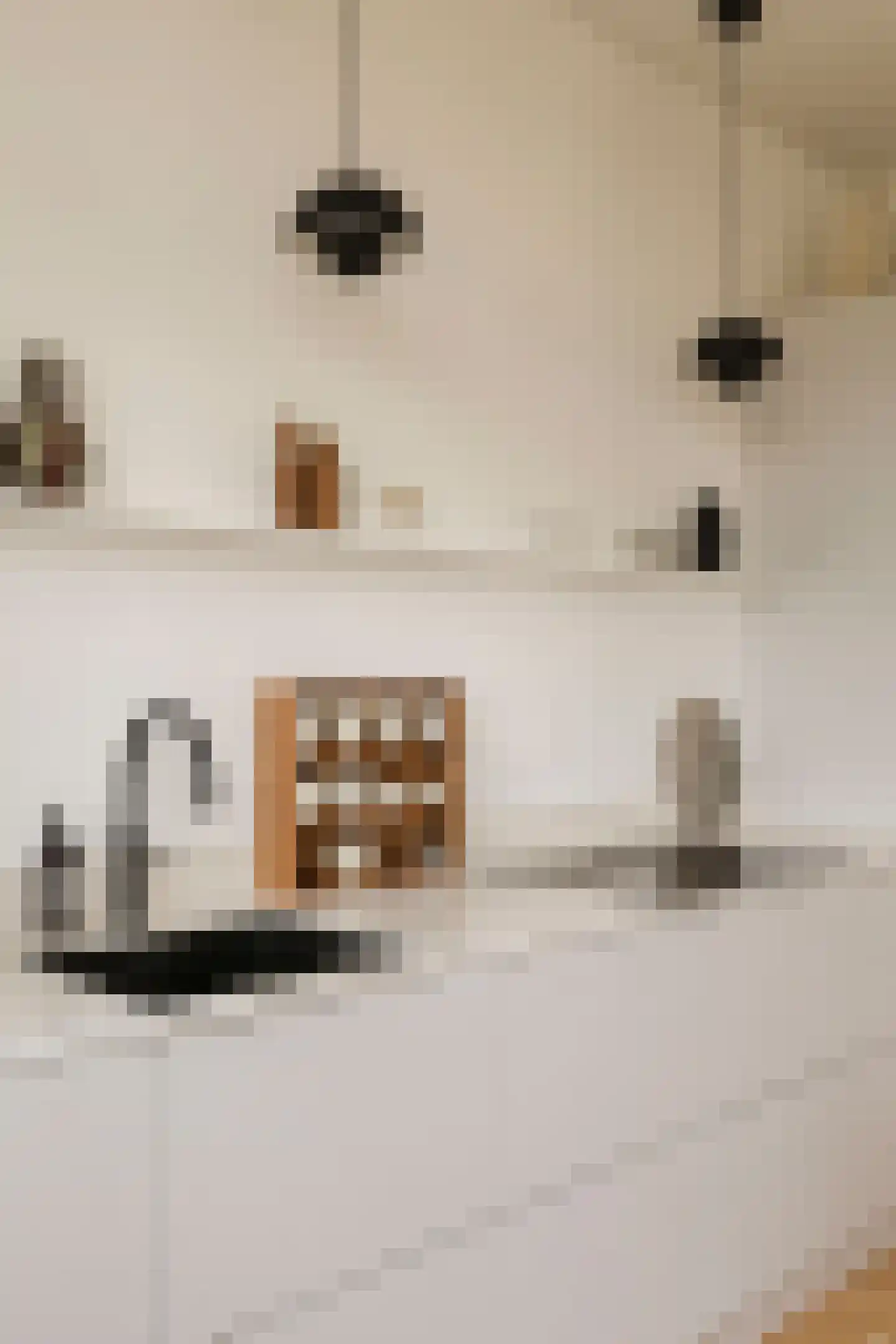 Baarsstraat 7 3 Amsterdam thumbnail 18