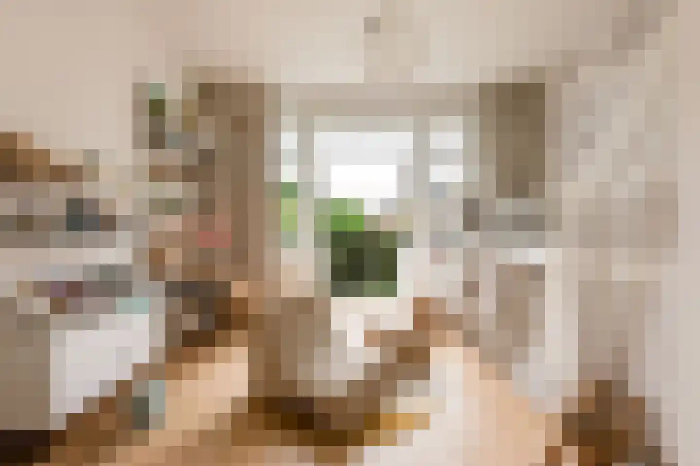Baarsstraat 7 3 Amsterdam thumbnail 23