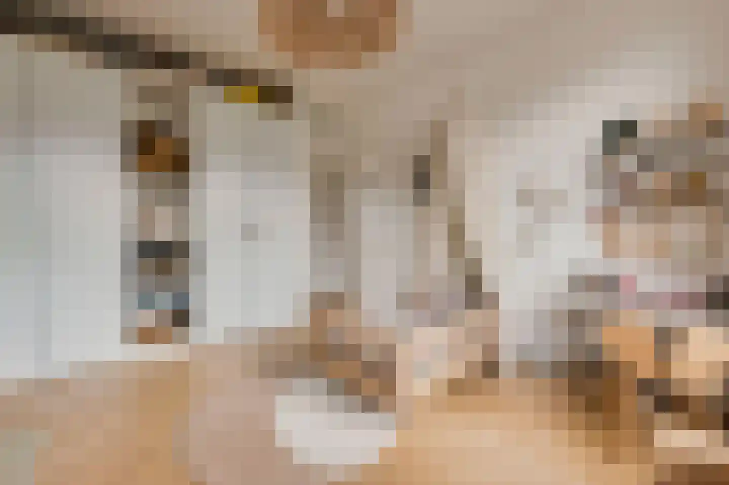 Baarsstraat 7 3 Amsterdam thumbnail 33