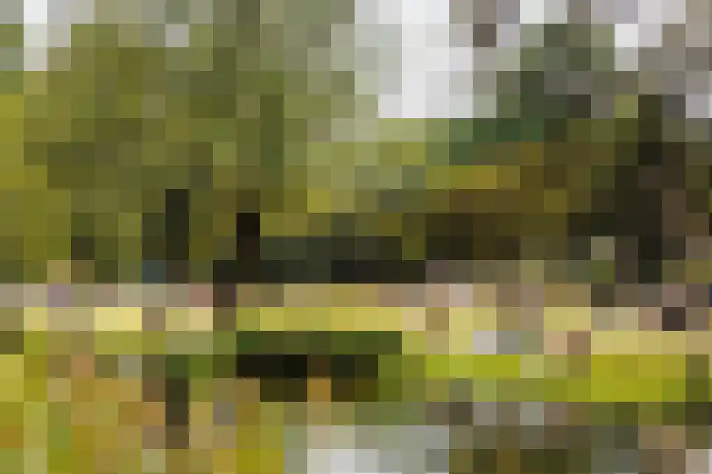 Baarsstraat 7 3 Amsterdam thumbnail 39