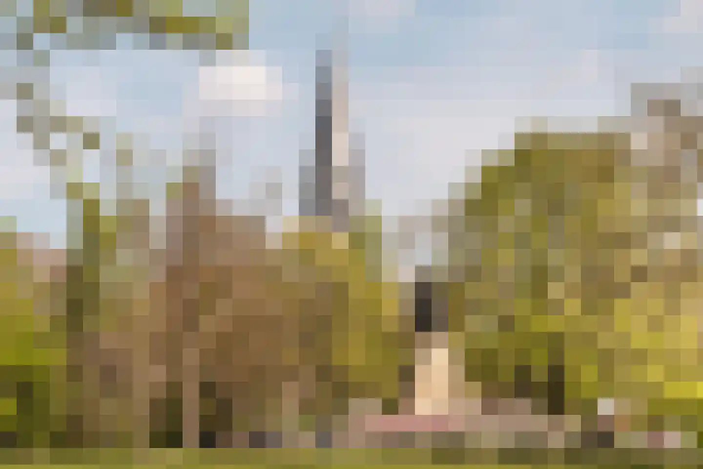 Baarsstraat 7 3 Amsterdam thumbnail 40