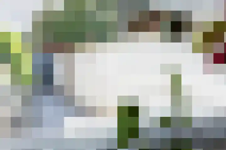 Baarsstraat 9 Eindhoven thumbnail 15
