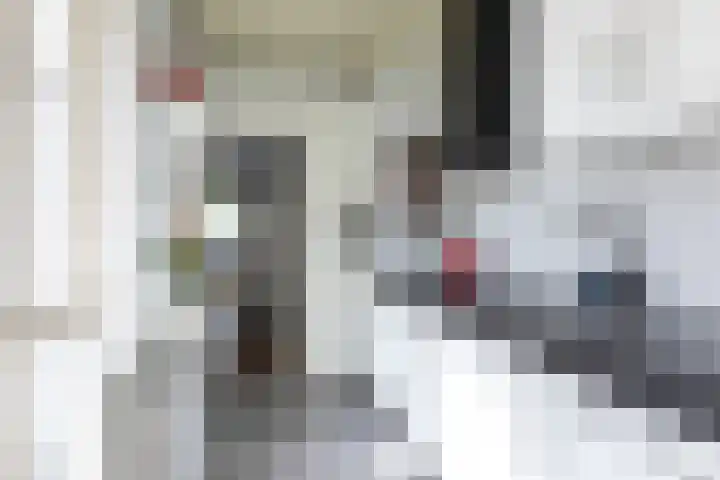 Baarsstraat 9 Eindhoven thumbnail 19