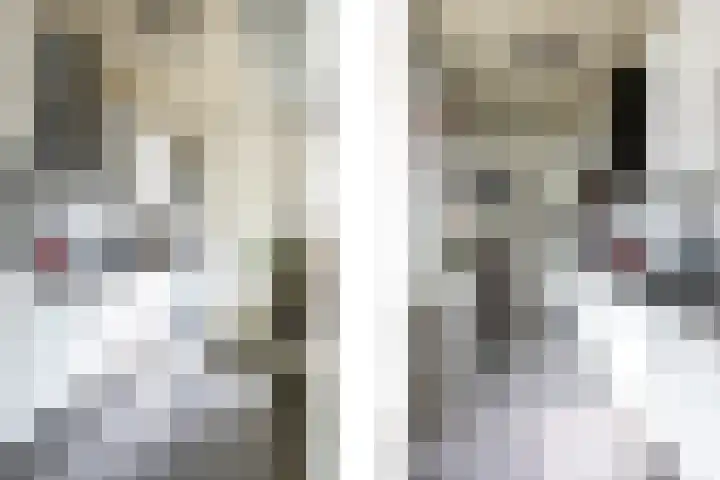 Baarsstraat 9 Eindhoven thumbnail 20