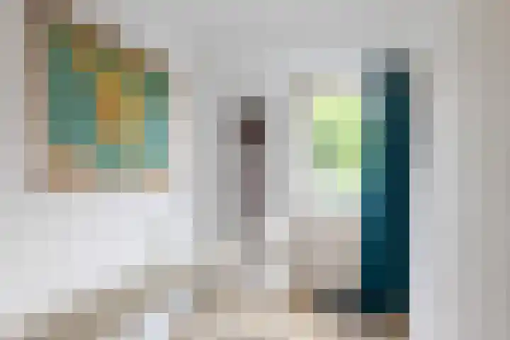 Baarsstraat 9 Eindhoven thumbnail 23