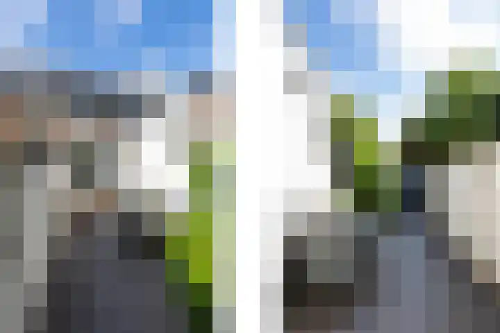 Baarsstraat 9 Eindhoven thumbnail 31