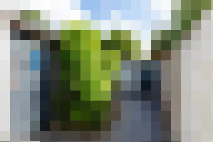 Baarsstraat 9 Eindhoven thumbnail 32