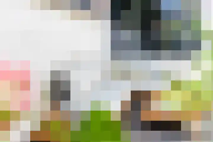 Baarsstraat 9 Eindhoven thumbnail 5