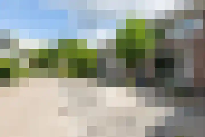 Baarsstraat 9 Eindhoven thumbnail 7