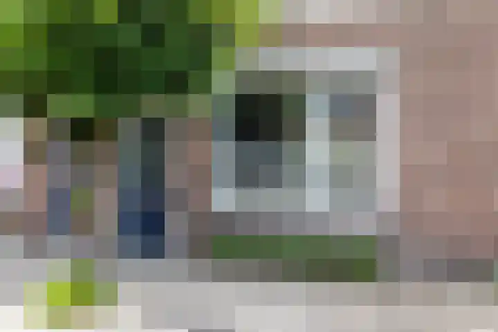 Baarsstraat 9 Eindhoven thumbnail 9