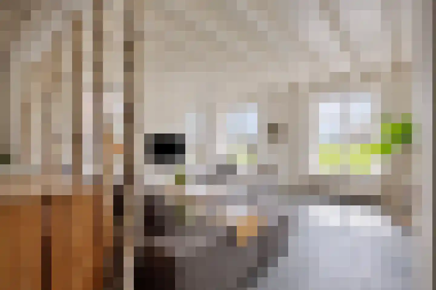 Baarstraat 15 Thorn thumbnail 15