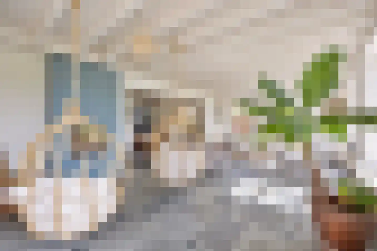Baarstraat 15 Thorn thumbnail 17