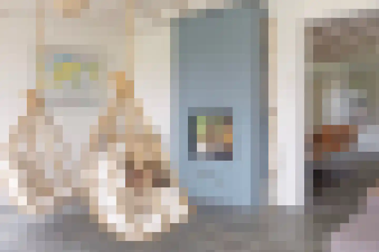 Baarstraat 15 Thorn thumbnail 18
