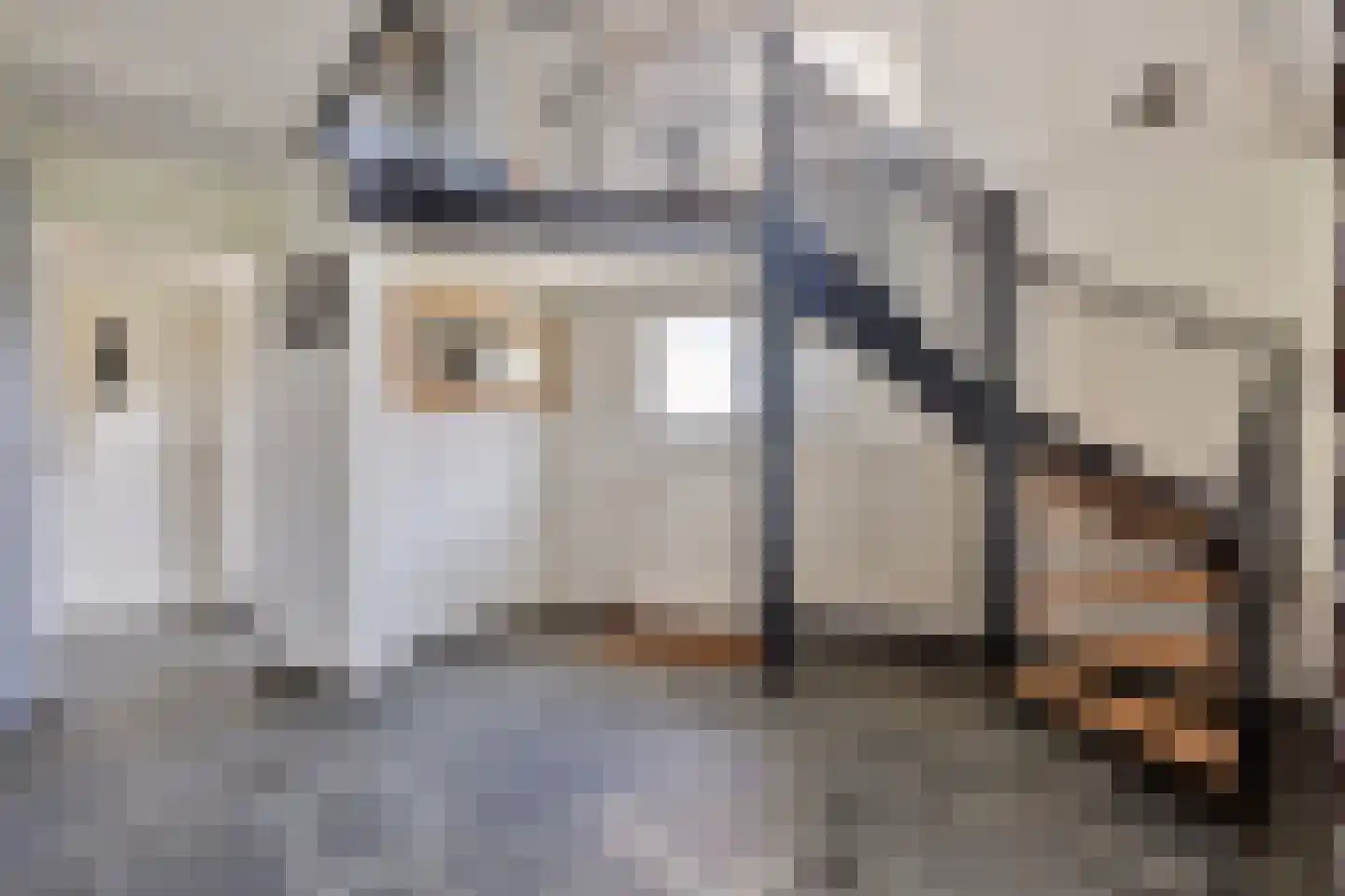 Baarstraat 15 Thorn thumbnail 26