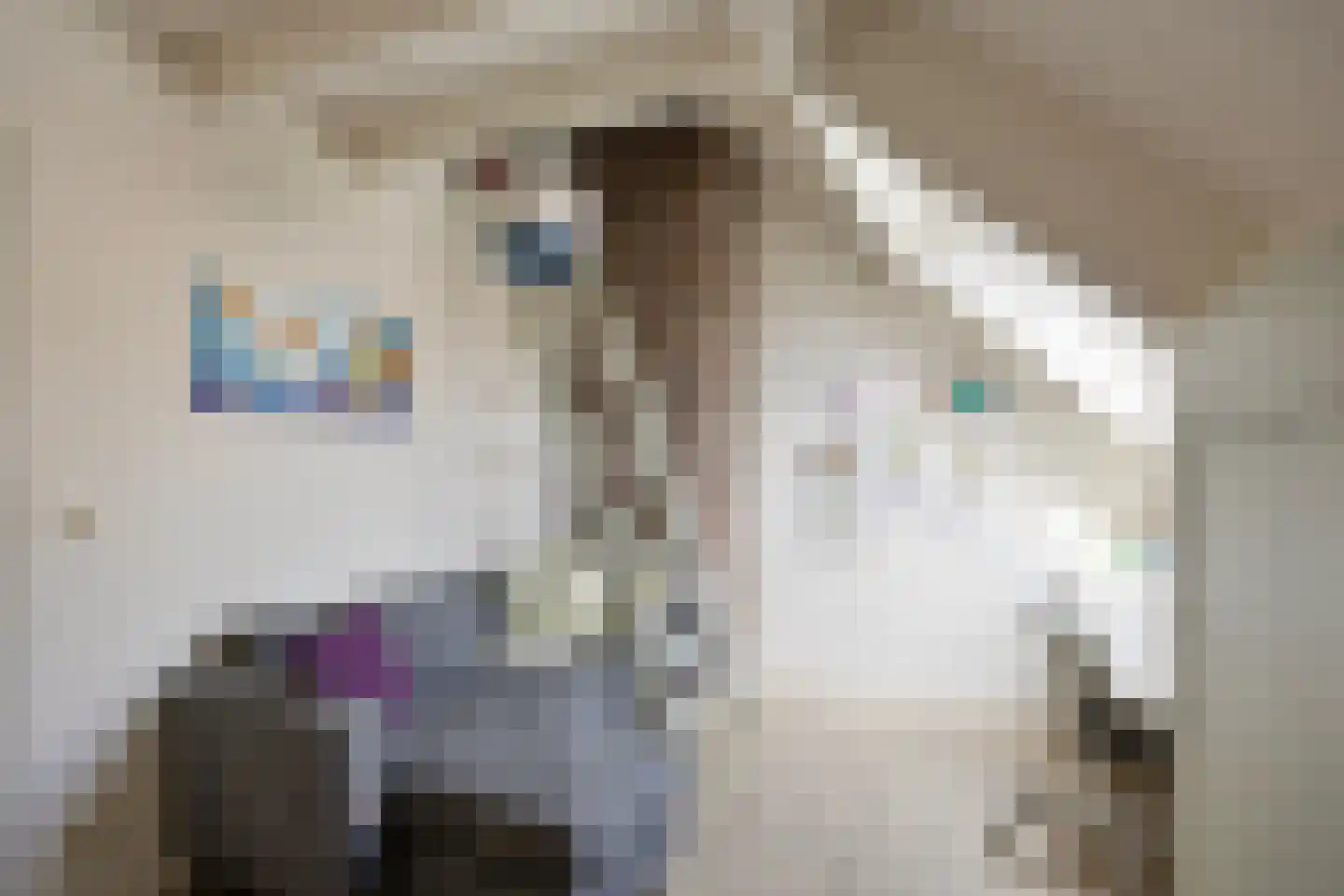 Baarstraat 15 Thorn thumbnail 33