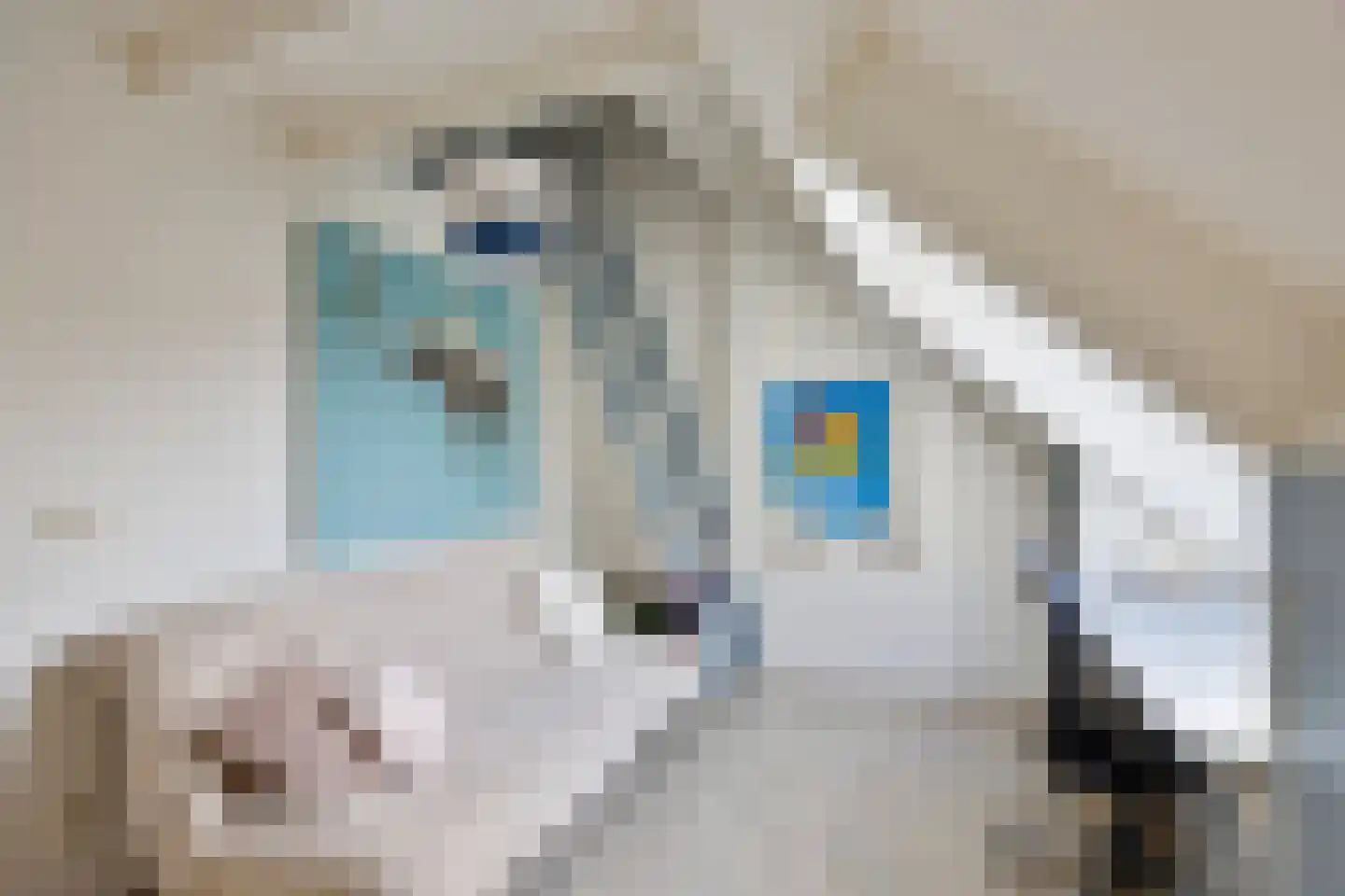 Baarstraat 15 Thorn thumbnail 36
