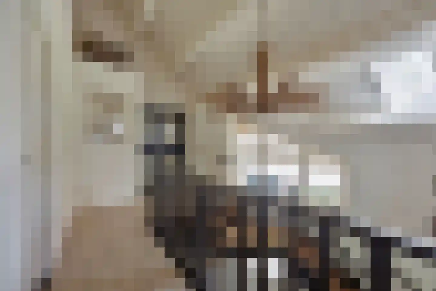 Baarstraat 15 Thorn thumbnail 38