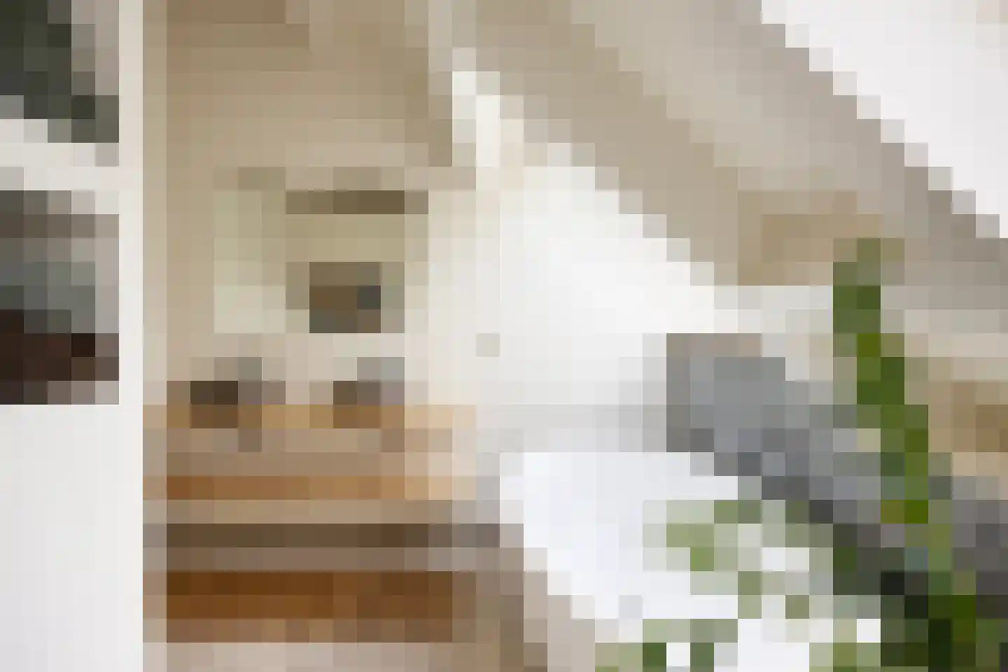 Baarstraat 15 Thorn thumbnail 45