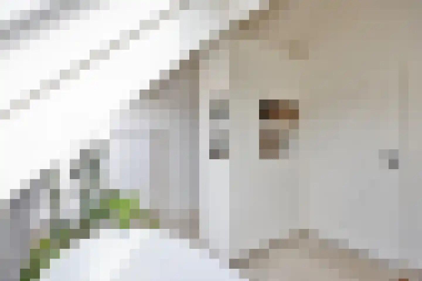 Baarstraat 15 Thorn thumbnail 46