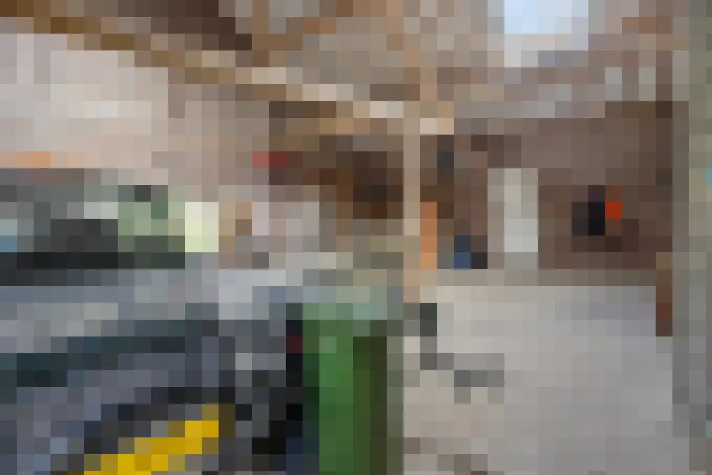 Baarstraat 15 Thorn thumbnail 51