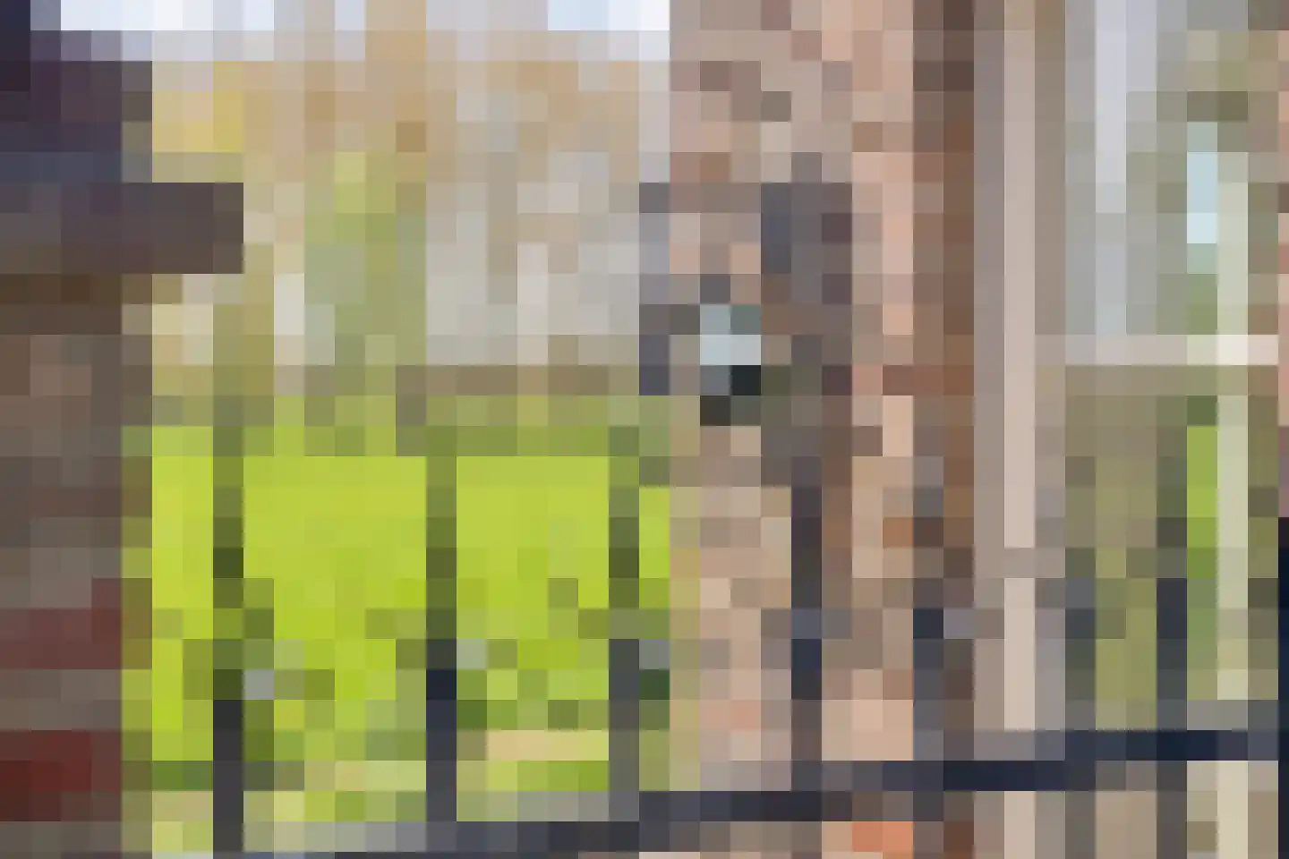 Baarstraat 15 Thorn thumbnail 53