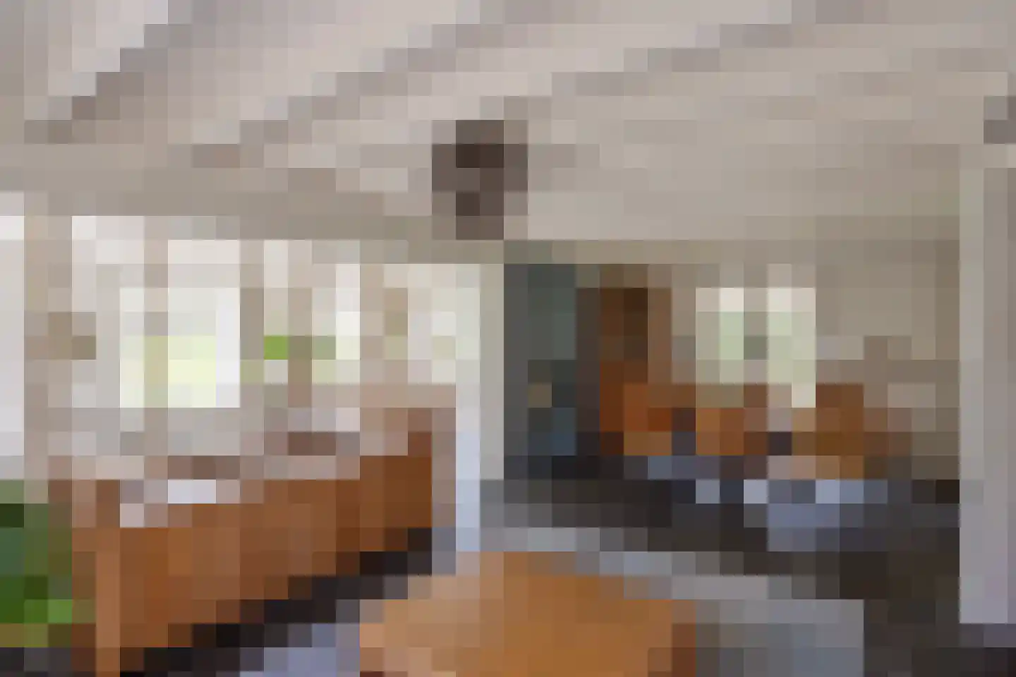 Baarstraat 15 Thorn thumbnail 6