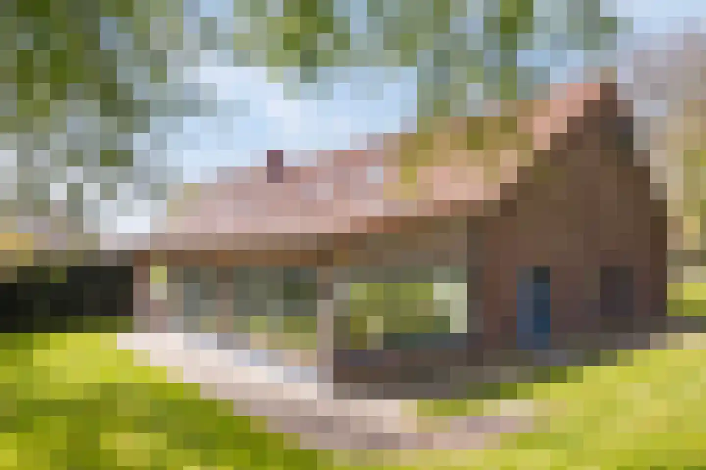 Baarstraat 15 Thorn thumbnail 60