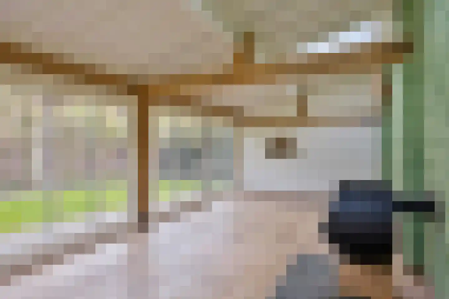 Baarstraat 15 Thorn thumbnail 63